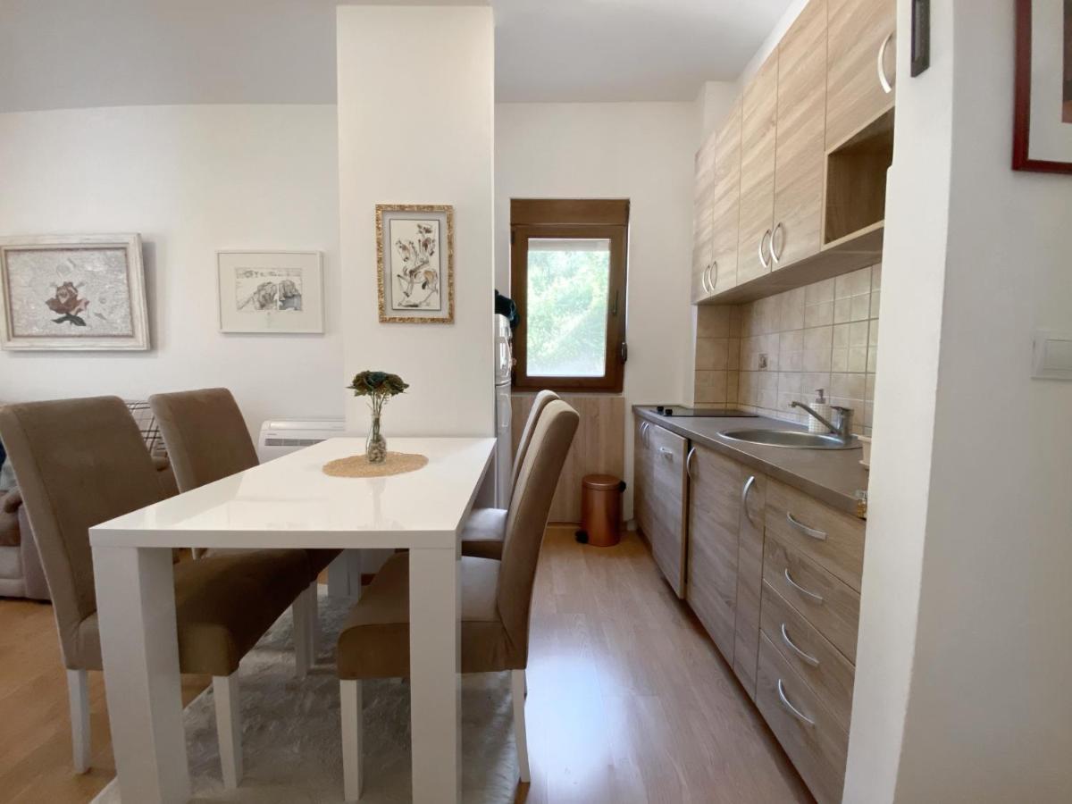 Welcome Apartments Petrovac Zewnętrze zdjęcie